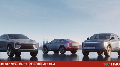 Global electric vehicle sales are slowing down.