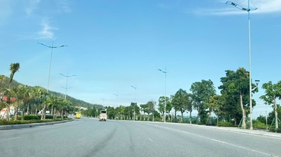 Чудове розташування лісопарку вартістю 5,38 трильйона донгів у Куангніні.