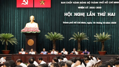 Виконавчий комітет партійного комітету міста Хошимін провів своє засідання за підсумками року, щоб обговорити багато важливих питань.