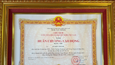 Gia Lai میں ایک طالب علم کو ویتنام کے صدر نے سیکنڈ کلاس لیبر میڈل سے نوازا۔