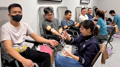 De bloeddonatieclub van Hoa Phuong mobiliseerde bijna 7.000 mensen om bloed te doneren.