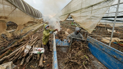 កិច្ចខិតខំប្រឹងប្រែងដើម្បីរក្សាស្ថិរភាពតម្លៃក្នុងអំឡុងពេលបុណ្យតេត។