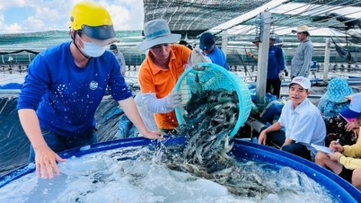 カマウは、国のエビの首都としての地位を維持しています。