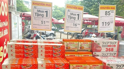 Memperkukuh penyelarasan dalam mencegah dan memerangi penyeludupan dan penipuan perdagangan di wilayah Bac Ninh.