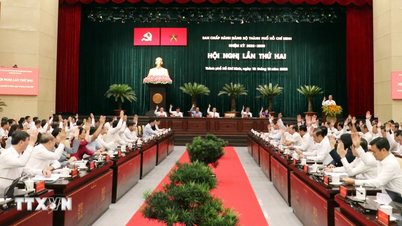 افتتاح المؤتمر الثاني للجنة التنفيذية للجنة الحزب في مدينة هو تشي منه