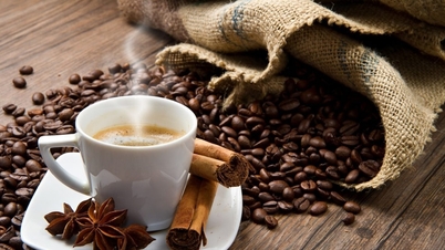 Precios del café hoy, 15 de diciembre de 2025: fuerte caída, mercado bajo presión de oferta.