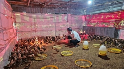 ການຟື້ນຟູ ແລະ ສະໜອງສັດລ້ຽງຄືນໃໝ່ຫຼັງຈາກນໍ້າຖ້ວມ.