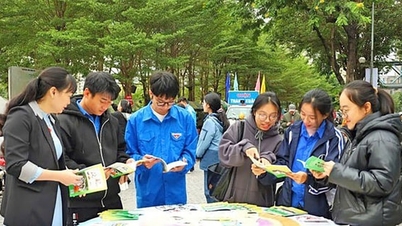 صنفی مساوات - ہنوئی میں پیدائش کے وقت صنفی عدم توازن کو کم کرنے کی کلید۔