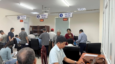 Провинция Куангчи: Усиление мер по борьбе с притеснениями граждан и предприятий.