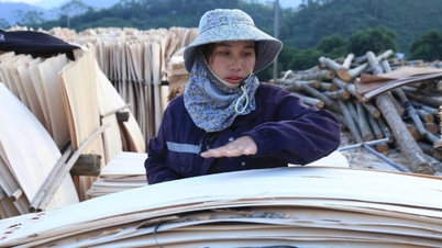 Αφύπνιση άγονων εκτάσεων μέσω της οικονομικής αιχμής της δασοκομίας.