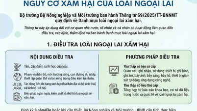 [İNFOGRAFİKLER] Yabancı türlerin istilacı tehdidini belirleme kriterleri