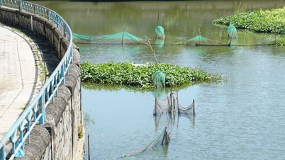 タイニン運河には今でも多くの漁網が残っています。