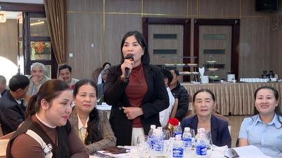 Het verstrekken van kennis over gendergelijkheid en het voorkomen van huiselijk geweld aan 100 lokale functionarissen in Da Nang.