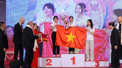 ប្រទេសវៀតណាមត្រូវបានជ្រើសរើសឱ្យធ្វើជាម្ចាស់ផ្ទះនៃការប្រកួតជើងឯកការចងចាំពិភពលោកលើកទី ៣៥ ម្តងទៀត។