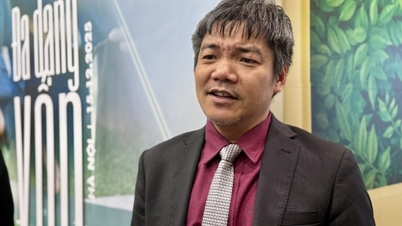 كبير الاقتصاديين في بنك التنمية الآسيوي: تتمتع فيتنام بإمكانات رأسمالية كبيرة للنمو.