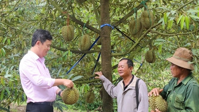 จังหวัดลำดงอำนวยความสะดวกในการไหลเวียนของเงินทุนสำหรับภาคเกษตรกรรม