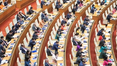 Orașul Ho Și Min va începe să accepte candidaturi pentru reprezentanții Adunării Naționale și ai Consiliului Popular începând cu 15 decembrie.