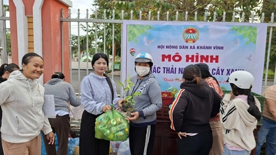 খান ভিন কমিউনের কৃষক সমিতি "সবুজ উদ্ভিদের জন্য প্লাস্টিক বর্জ্য বিনিময়" মডেল চালু করেছে।