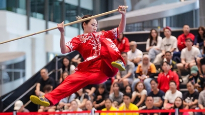 فوئونگ نهی، "دختر جذاب" ووشو، نزدیک بود از بازی‌های جنوب شرقی آسیا کناره‌گیری کند، اما با وجود درد و رنج رقابت کرد: بردن مدالی ارزشمندتر از طلا.
