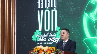 Da die Nachfrage nach grünem Kapital 700 Milliarden Dollar erreicht, benötigen Banken die „Synergie“ des Kapitalmarktes.