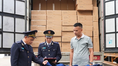 The Customs sector is determined to combat trade fraud and intellectual property infringement.