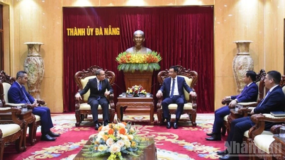 เลขานุการคณะกรรมการพรรคเมืองดานังให้การต้อนรับกงสุลใหญ่แห่งสาธารณรัฐประชาธิปไตยประชาชนลาว ในโอกาสเข้าเยี่ยมอำลาเมื่อสิ้นสุดวาระการดำรงตำแหน่ง