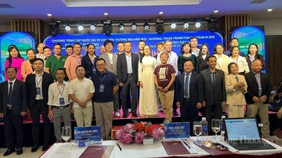 עסקים זרים חותמים על כמעט 70 מזכרי הבנות לרכישת תוצרת חקלאית מההרי המרכזיים.