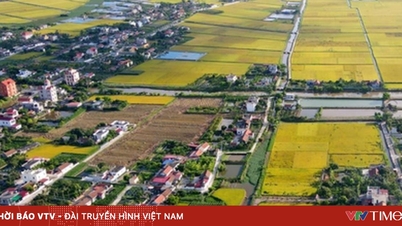 អត្រាថ្លៃប្រើប្រាស់ដីធ្លីសម្រាប់ការប្តូរដីកសិកម្មទៅជាដីលំនៅដ្ឋានចាប់ពីថ្ងៃទី 1 ខែមករា ឆ្នាំ 2026។