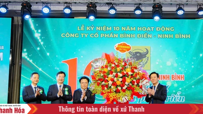 ប៊ិញឌៀន - និញប៊ិញ៖ សញ្ញាសម្គាល់នៃទសវត្សរ៍នៃ "សាបព្រោះជំនឿ - ប្រមូលផលជោគជ័យ" នៅភាគខាងជើង។