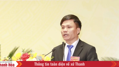 សមាជលើកទី១២ នៃសមាគមកសិករខេត្តថាញ់ហ័រ៖ ការចូលរួមគំនិតសម្រាប់ការអភិវឌ្ឍ «កសិកម្ម កសិករ និងតំបន់ជនបទ» ក្នុងដំណាក់កាលថ្មី។