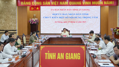 An Giang: Návrh na zřízení podoblastí ve dvou zvláštních ekonomických zónách Phu Quoc a Kien Hai.