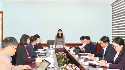 Tuyen Quang promotes comprehensive educational development in the new phase.