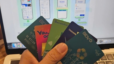 "Digital Shield" Prevents Online Fraud