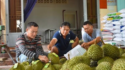 Aplikace vědy a techniky ve výrobě – „páka“ ke zvýšení hodnoty zemědělských produktů.
