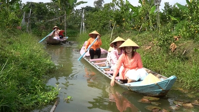 Atrakce v mandarinkovém sadu jsou otevřené pro návštěvníky.