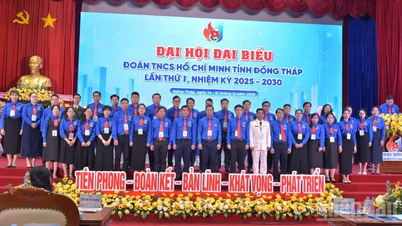 Soudruh Le Hoang Quyet zastává funkci tajemníka provinčního svazu mládeže Dong Thap.