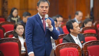 ការពិភាក្សា និងការផ្លាស់ប្តូរយ៉ាងរស់រវើកលើដំណោះស្រាយសម្រាប់ការអភិវឌ្ឍសេដ្ឋកិច្ច-សង្គម។