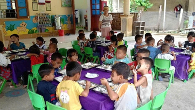 New information about the "Raising Children in Nghe An" project.