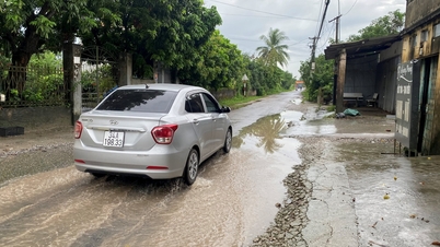 ক্যাম চে - থান জুয়ান সড়ক প্রকল্পের জন্য বিনিয়োগ মূলধন বৃদ্ধি করুন।