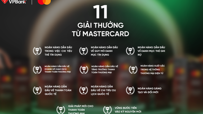VPBank は、Mastercard Customer Forum 2025 で数々の賞を受賞しました。