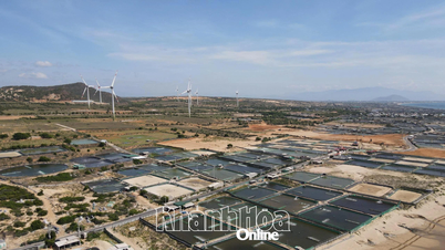 ニントゥアン1原子力発電所の約6.7兆ドン相当の移転・移住プロジェクトが承認された。
