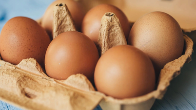 Měli byste jíst vejce každý den?