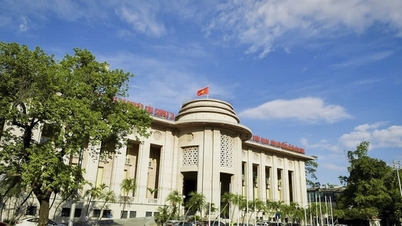 הבנק הממלכתי של וייטנאם מספק 32 שירותים ציבוריים מקוונים מלאים.