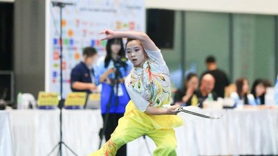 ملکه ووشو، دونگ توی وی و انتخاب‌های زنی که بر اوج شکوه ایستاده است.