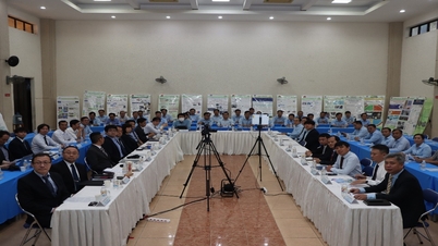 Workshop a veletrh pracovních příležitostí pro vietnamsko-japonské odborné vzdělávání