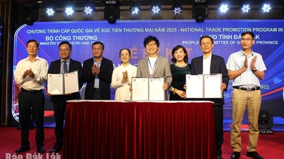 Organizování delegací zahraničních firem za účelem realizace nákupních transakcí v regionu Střední vysočiny.