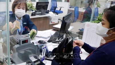 הצעה לשמור על שיטת חישוב מס יציבה במשך שנתיים רצופות עבור משקי בית ועסקים פרטיים.