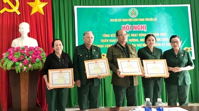 Provinční asociace bývalých mladých dobrovolníků: Mobilizovala přes 2,3 miliardy dongů na podporu členů v nouzi.