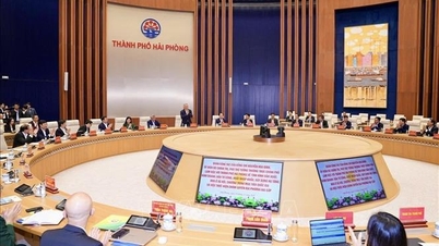 Hai Phong merupakan hab pertumbuhan penting negara dengan skala ekonomi yang besar.