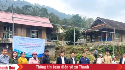 ប្រគល់ក្របីបង្កាត់ពូជដល់គ្រួសារក្រីក្រ និងគ្រួសារជិតក្រីក្រនៅឃុំអៀនញ៉ាន។